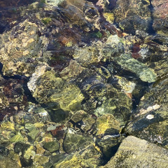 Lil Water