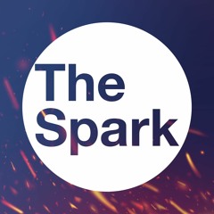 The Spark: Medical Education for Curious Minds