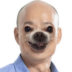 李佳曄