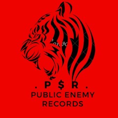 Public Enemy Records