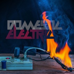 Domestic Electric