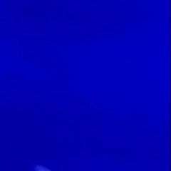 시현