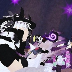 Inuwo Cat