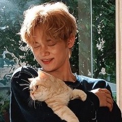 Wren 𐙚˙⋆.˚ ᡣ𐭩