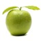 lurk_1+apple