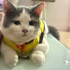 Tí Chuột