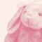𐙚⁺˖ ⸝⸝ ℛ𝒾𝒾ℛ𝒾𝒾 ⁺໒꒱ིྀ༝