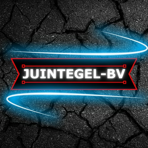 JUINTEGEL BV’s avatar