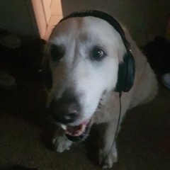 sqwelzat