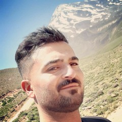 alireza birjandi
