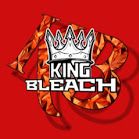 TUNDA PUNCH(King Bleach)