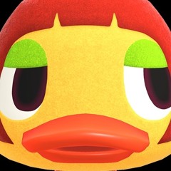 CJEY