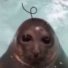 bean