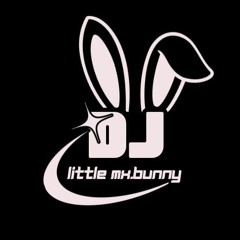 Little Mx.Bunny