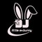 Little Mx.Bunny