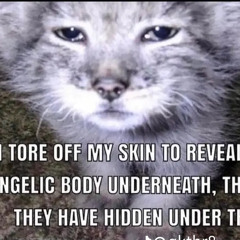 WINGLESSXNGEL