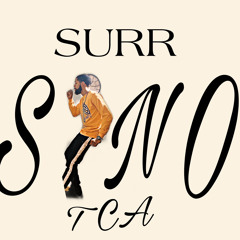 Surr SiNO