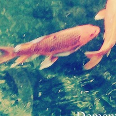 AHSTYN 1991 - 2021 (Solo Acoustic Forever)