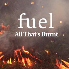 Fuel