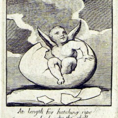 Michael John Gerard Higgins