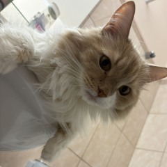 ааээаэсдэээ