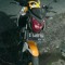 Bani_Wibawa_FuLL