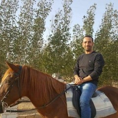 mohamed elaraby