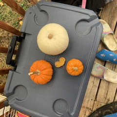 MAC