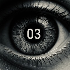 Vision03