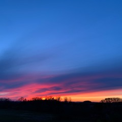 Scoundrel Music Production