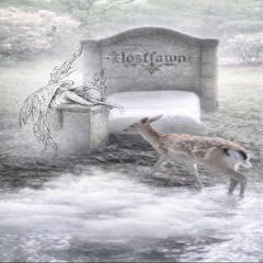 lostfawn