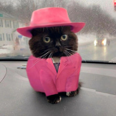 VelvetPaws