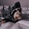 𐔌՞. .՞𐦯✮Freaky_ferret✮𐔌՞. .՞𐦯