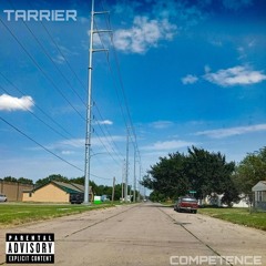 Tarrier