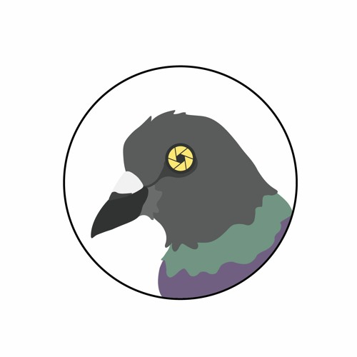feathered fiction’s avatar