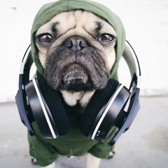 (пре...)подоvan