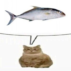 SLAY pisik
