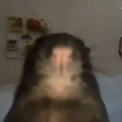 Lil Circumcision