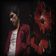 loyalglokkk! (@loyalglokk)