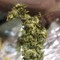 smoker ☘️