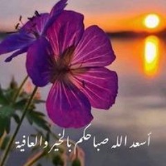 محمد جمال