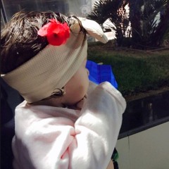 🌿♥️🌸🦋هـاچــر haGer🦋🌸♥️🌿