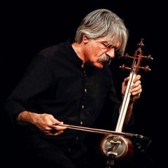 shahin qaradaxy