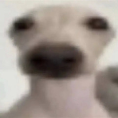 sent