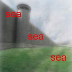 𝘴𝘦𝘢𝘰𝘧𝘵𝘦𝘢𝘳𝘴