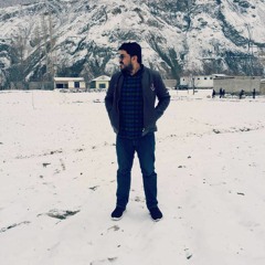 Shehzad Mughal