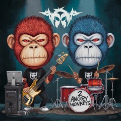 2 Angry Monkeys_Music Project