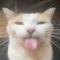 gatox