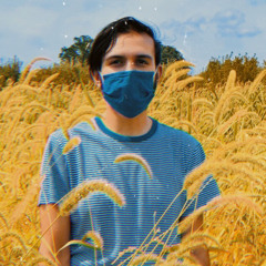 Mitchell Alexander