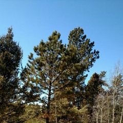 Hinterlands